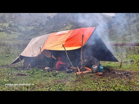 Himalayan Village Life Sheep Shepherd Life Rainy Day