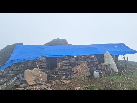 Best Himalayan Traditional Village Life Organic Food
