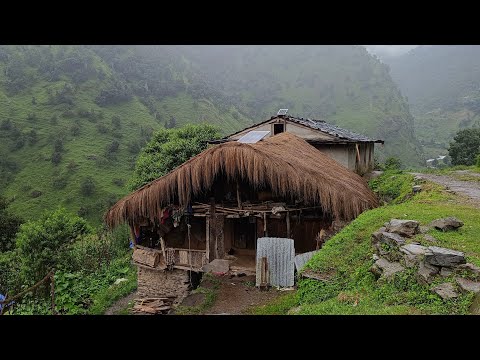 Beautiful Nepali Mountain Village Life Daily Activity Of