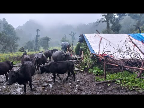 Simple The Best Mountain Village Lifestyle Mountain Village