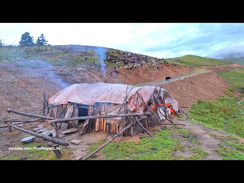Poor Buut happy Family Living in Beautiful House Organic