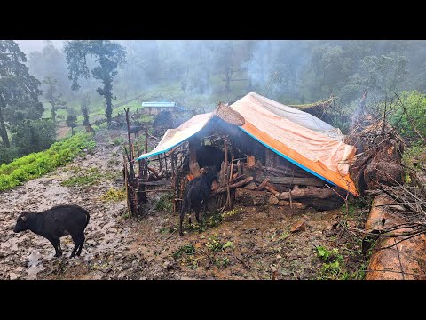Most Relaxation Mountain Village Life into the Rain How