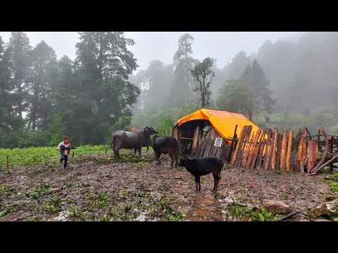 Most Peaceful And Relaxing Nepali Mountain Village