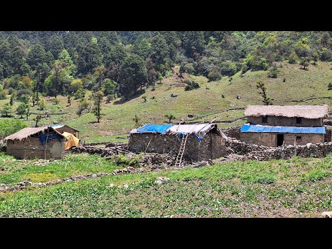 Very Hardworking Himalaya Village People Daily Routine