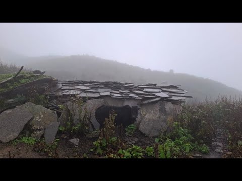 Beautiful Nepali Mountain Traditional Village Life Of Nepal