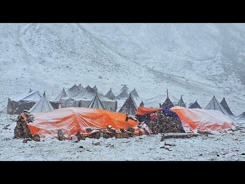 Most Relaxation Himalayan Village Life into The Snow Dolpa