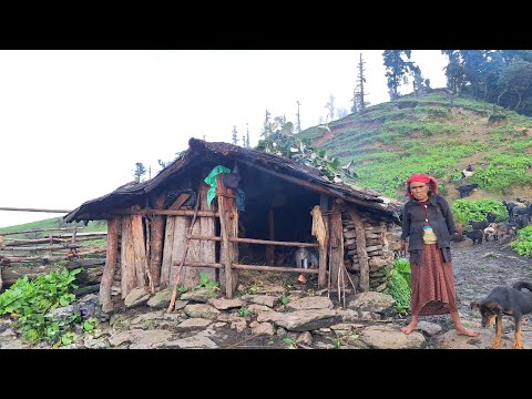 Simple and Very Hardworking Nepali Mountain Village