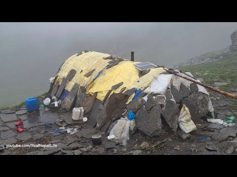 Poor But Happy Family Living in Beautiful House Organic