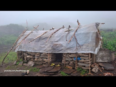 Himalayan Village Life Dolpa Nepal The Making Process Ghee