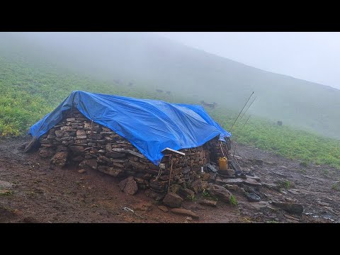 Nepali Mountain Village Life Sheep Shepherd Life Rainy Day