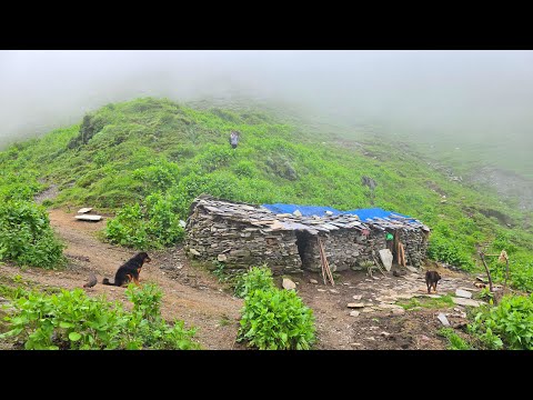 Best Life in A Himalayan Village During the Rainy Day
