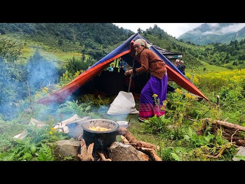 Happy Family Living in Beautiful Village Shed Organic