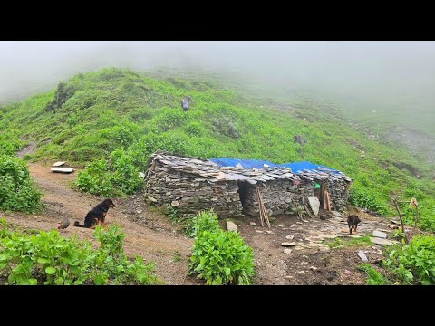 This is Himalayan Nepali Mountain Village Life During the