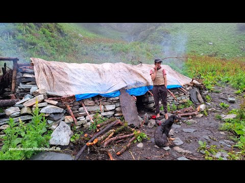 Himalayan Village Life Tough Life of Nepali Shepherd