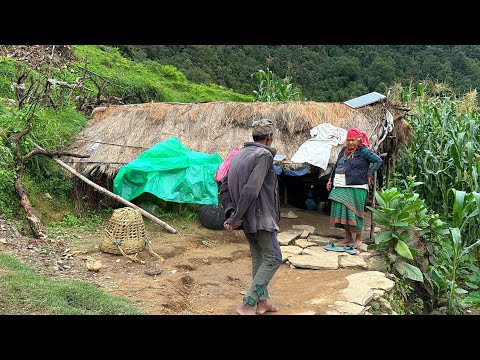 Organic Nepali Mountain Village Life Village Food Cooking