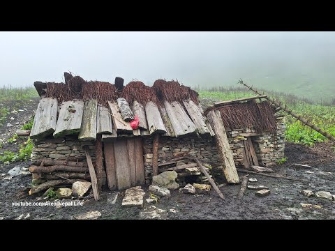 Himalayan Shepherd Life In Dolpa Nepal Rainy day in Village
