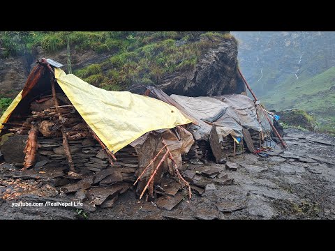 Himalayan Shepherd Life in Nepal Nepali Lifestyle in