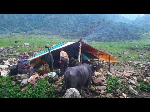 Simple Nepali Mountain Village Lifestyle Nepal Daily Life