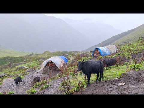 Simple the Best Himalayan Village Life Nepal Rainy Day