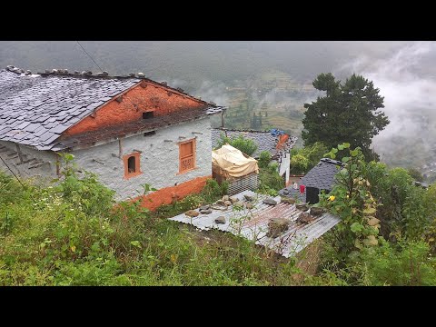 Amazing Daily Lifestyle Of Nepali Mountain jiree Village