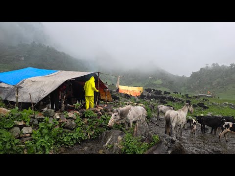 Organic Nepali Mountain Village Life in Nepal Most Peaceful