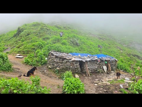 Surviving Life in the Nepali Mountains During the Rainy