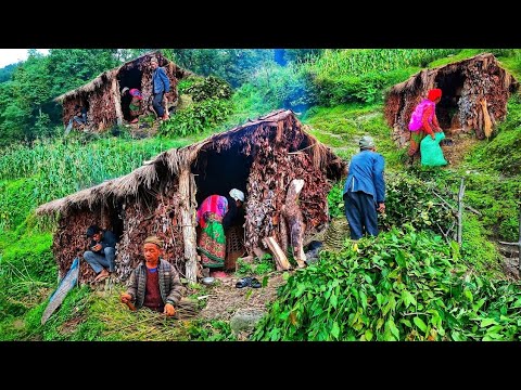 Most Peaceful Nepali Mountain Village Lifestyle Organic