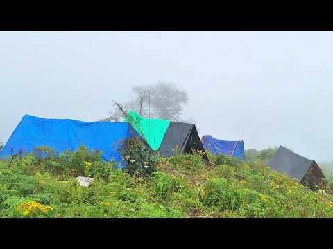 This is Shepherd Life Nepal Ep 6 Organic Shepherd Food How