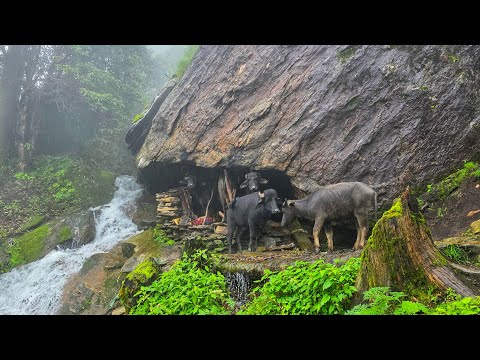 This is Himalayan Nepali Mountain Village Life During the
