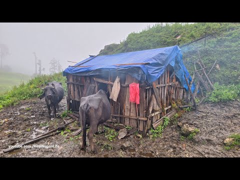 Nepali Mountain Village Life Best Life in The Nepali