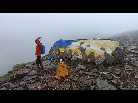 Nepali Mountain Village Life Sheep Shepherd Life Organic