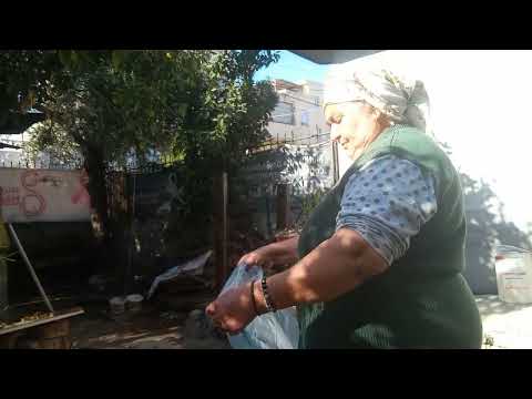 Bahçe bakımı temizlik Karadeniz lahana yemek çay