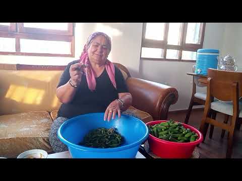 Turşuluk hazırladım kaşarlı mantar herşeyi unutsam keşke