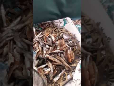 Hamsi fırında çok lezzetliydi