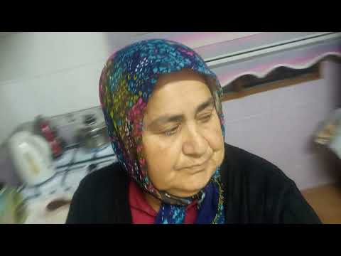 karnabahar kizartma kabak havuç patates kizartma yoğurtlu