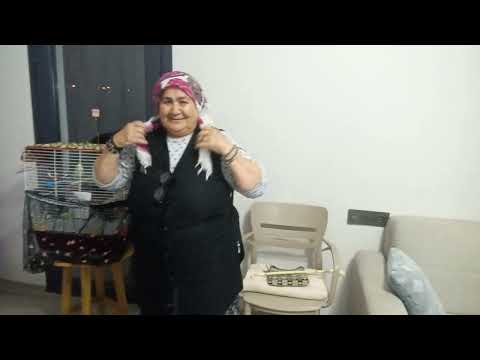 Çekirdek çay keyfi sohbet muhabbet Gülbeyaz dayız torunlar