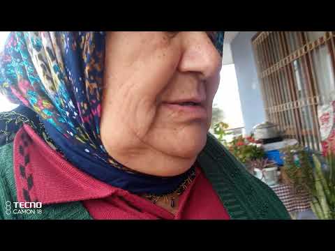 Kedileri besliyorum çiçekleriminkisin hâli beni