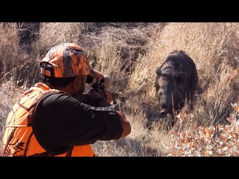 BEST WILD BOAR HUNTING ADVENTURE EFSANE DOMUZ AVI MACERASI