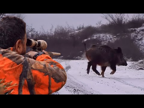 Ultimate BOAR HUNT Adventure in WINTER EPIC Rifle Shots at