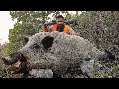 HUNTING WILD BOARS WITH EXCELLENT SHOTS EFSANE DOMUZ AVI