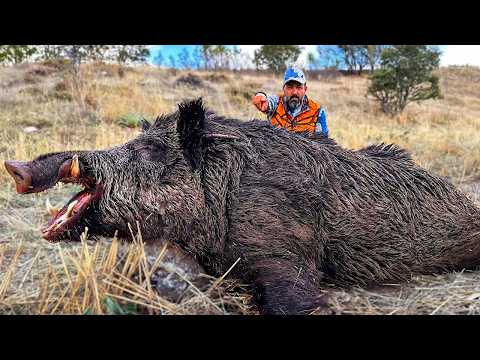 HUNTING the BEAST INCREDIBLE Shots on WILD BOARS EPIC