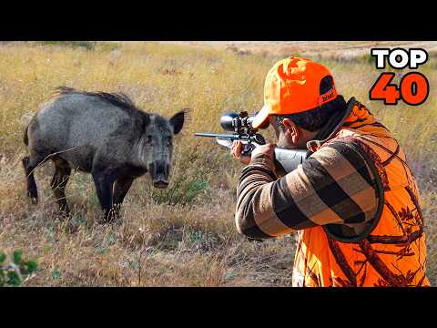 DANGEROUS GIANT BOARS 40 Incredible Shots You Won t Believe