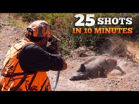 25 Shots in 10 Minutes Ultimate Wild Boar Hunting