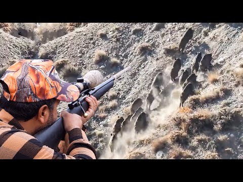 LONG RANGE PERFECT SHOTS UZUN MESAFE SÜPER ATIŞLAR