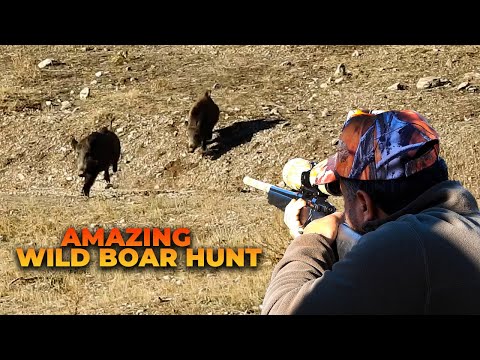 AMAZING WILD BOAR HUNTS BEST MOMENTS EFSANE VURUŞLARLA