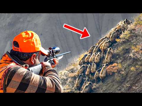 SHOCKING BOAR INVASION Sniper Shots Brave Dogs Epic Hunts