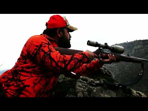 FULL ACTION WILD BOAR HUNTING DOMUZ AVI