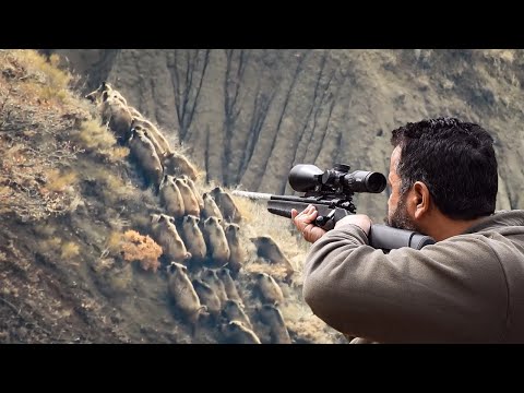 TOP 100 WILD BOAR HUNTS EN İYİ 100 DOMUZ AVI PART 2