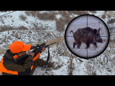 Epic Hunting Adventure in the Snow Long Distances Giant