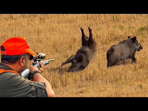 SHOCKING BOAR HUNTING One Shot Two Boars The Boar Attack